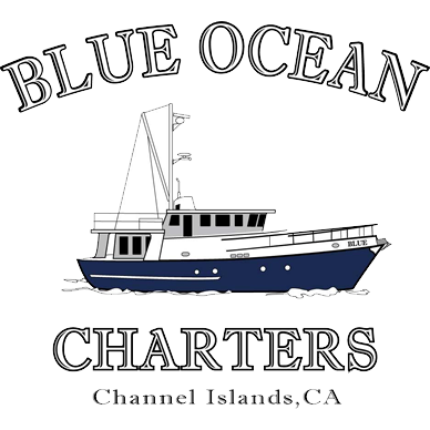 Blue Ocean Charters - Channel Islands Harbor, Oxnard, California | A safe, comfortable and luxurious way to see the beautiful sights of the Santa Barbara Channel, Ventura Coastline and Channel Islands | Phone (805)896-5454