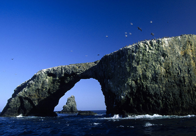 Blue Ocean Charters - Channel Islands Harbor, Oxnard, California | Our Services